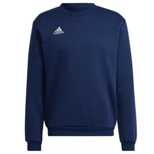 performance test Adidas Entrada 22 Sweatshirt - Blue